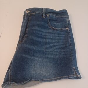 Terra & Sky Denim Jean Shorts Plus Sz 20W